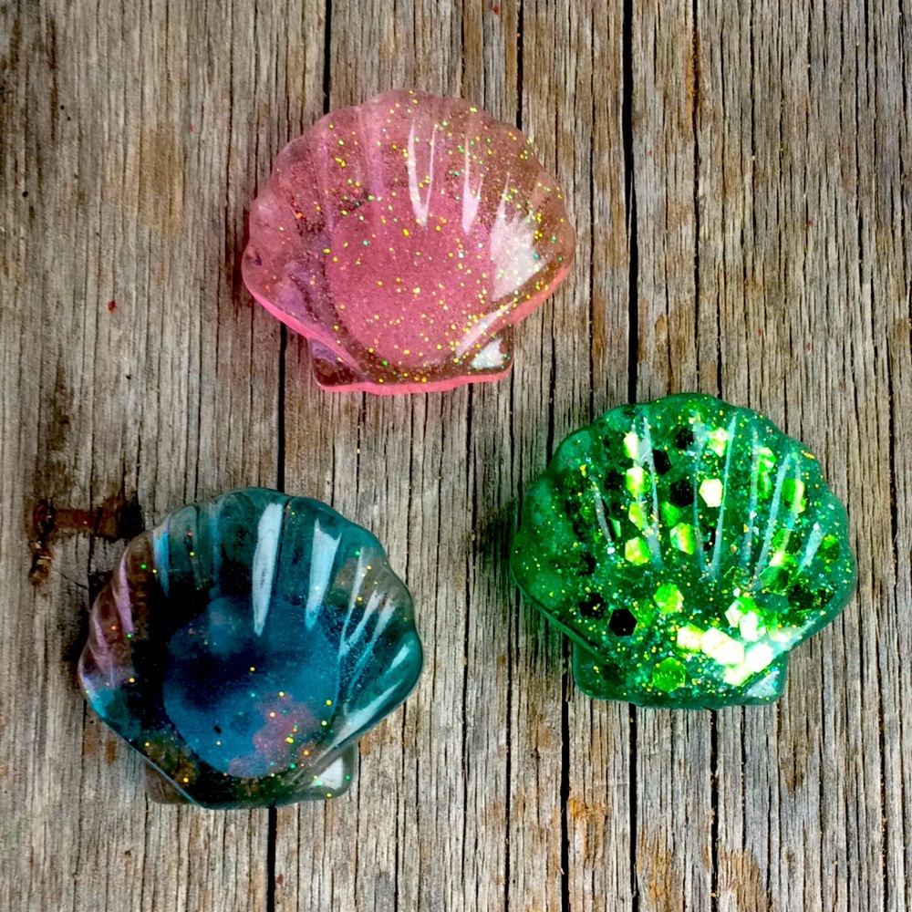 3 seashell resin magnets